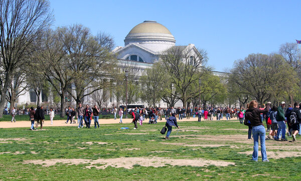 09AprilDC8.jpg