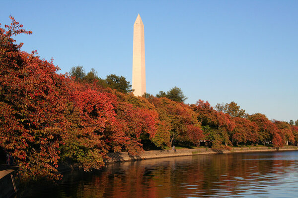 2011EastCoastNov33.jpg