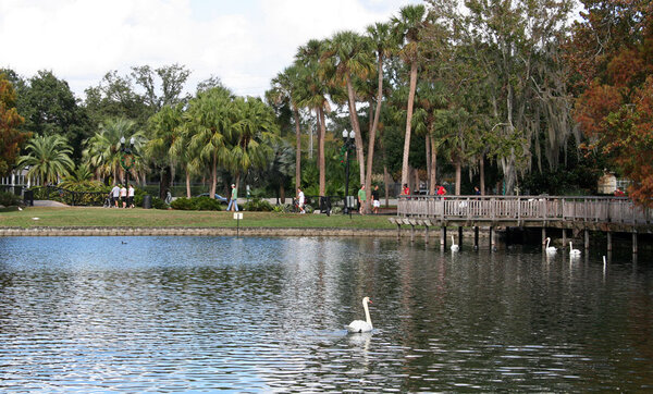 2012Florida16.jpg