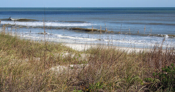 2012Florida32.jpg
