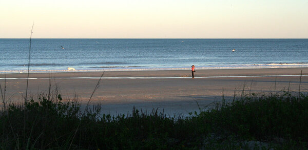 2012Florida63.jpg