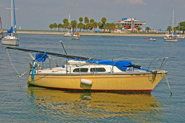 IMG_7630.jpg