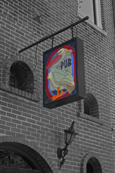 IMG_7641.jpg