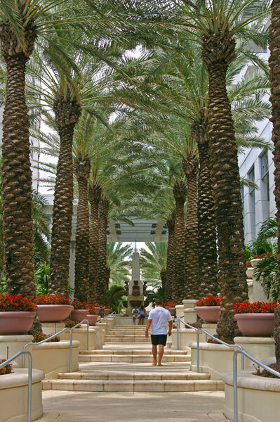 IMG_7737.jpg