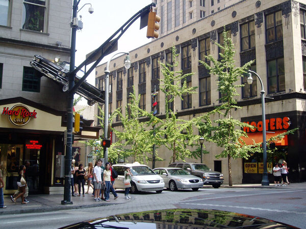 P6300011.jpg