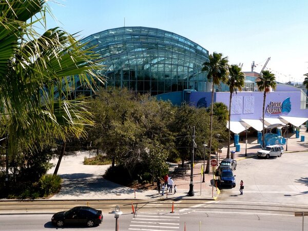 tampa_017.jpg