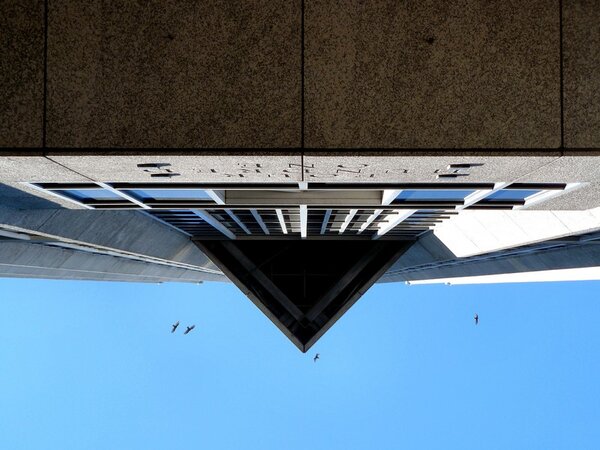tampa_023.jpg