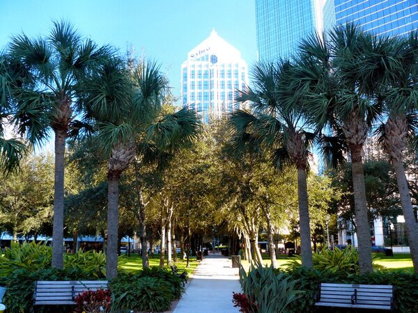 tampa_034.jpg