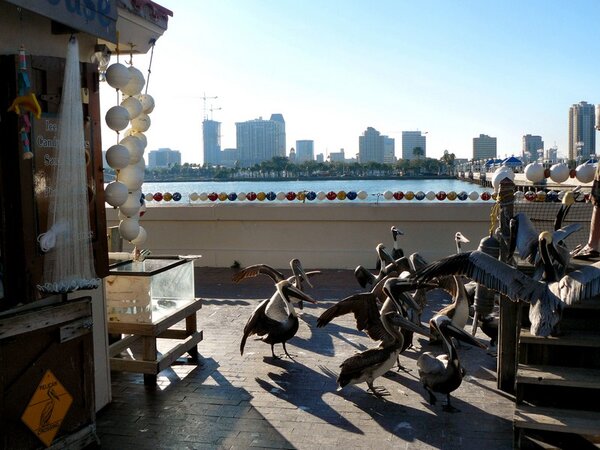 tampa_075.jpg