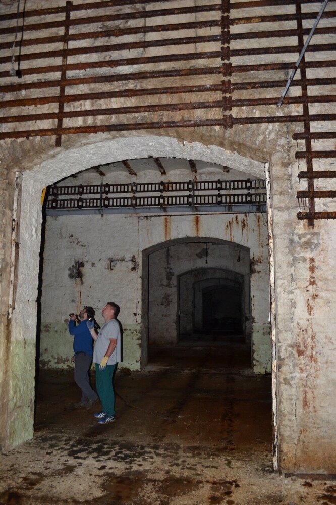 CELLAR_LOWER_LEVEL1.jpg