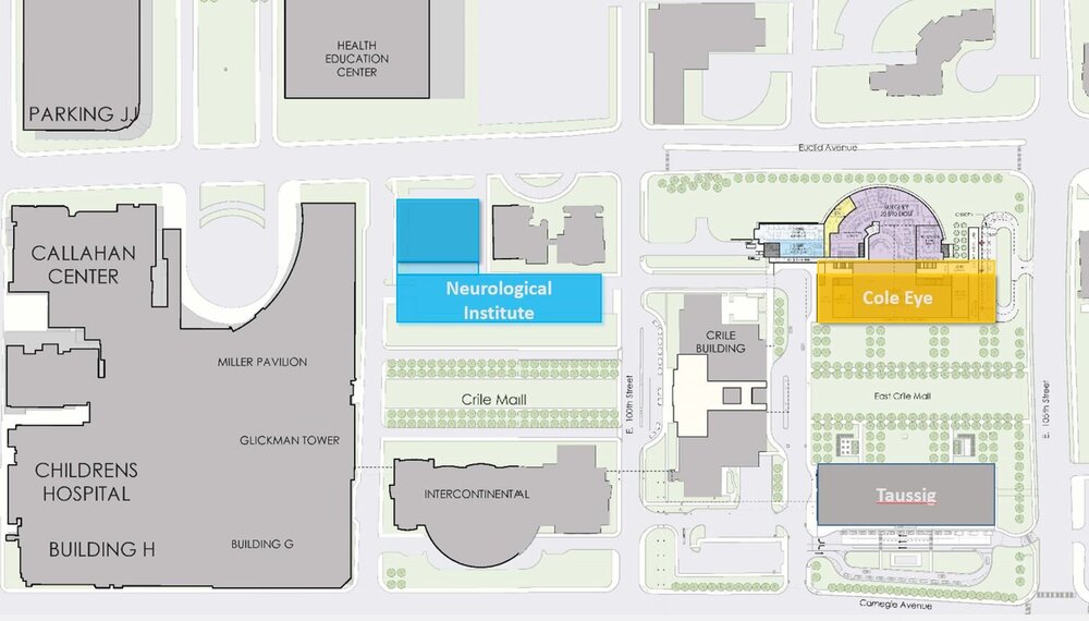 neuro-cole-map.jpg