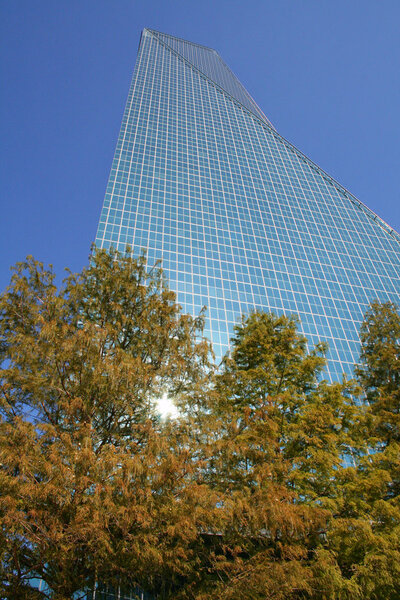 07Dallas44.jpg