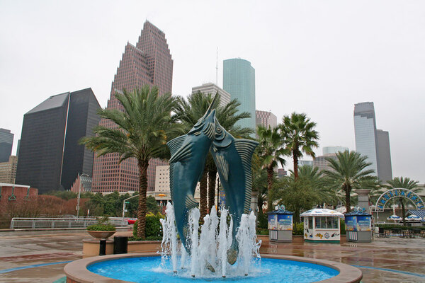 08JanHouston36.jpg