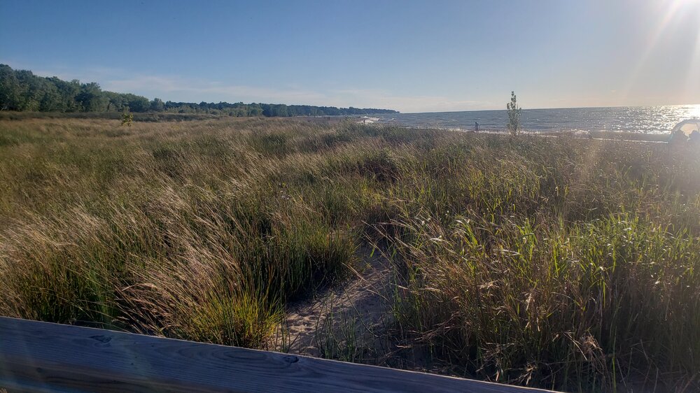 20200904_182115.jpg