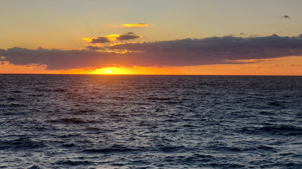 20200904_194544.jpg