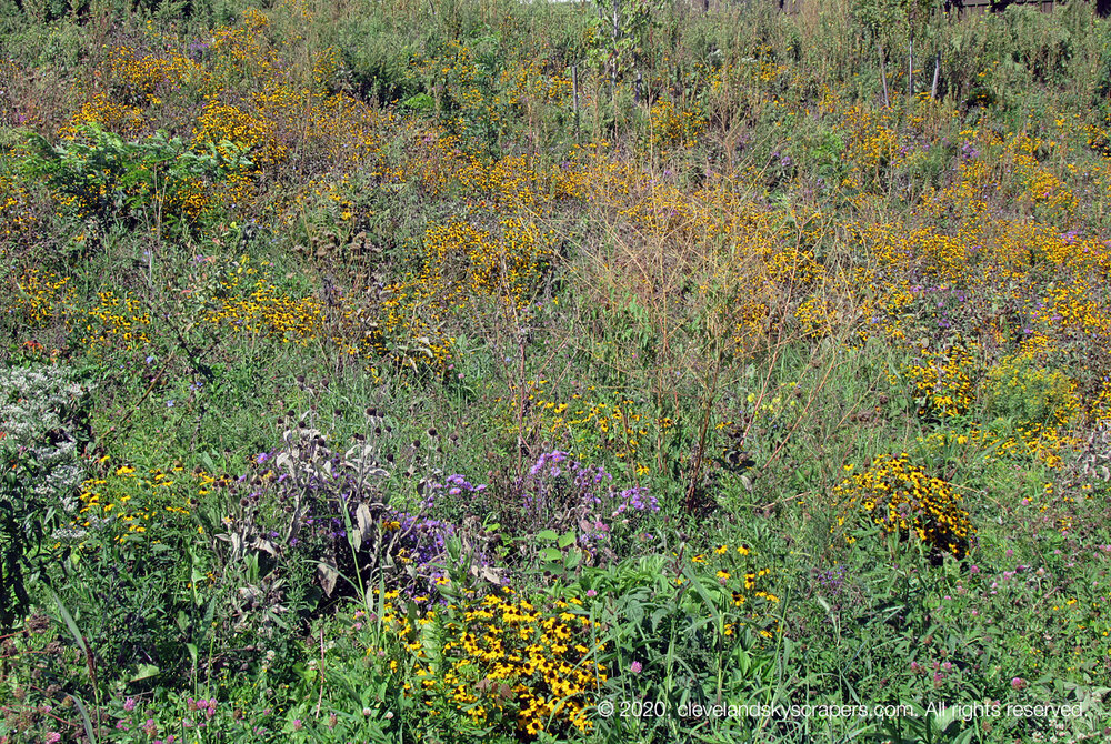 clesky091920_8.jpg