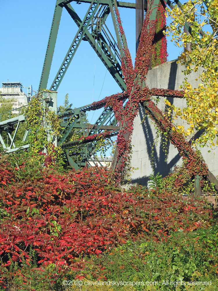 IMG_2863.jpg