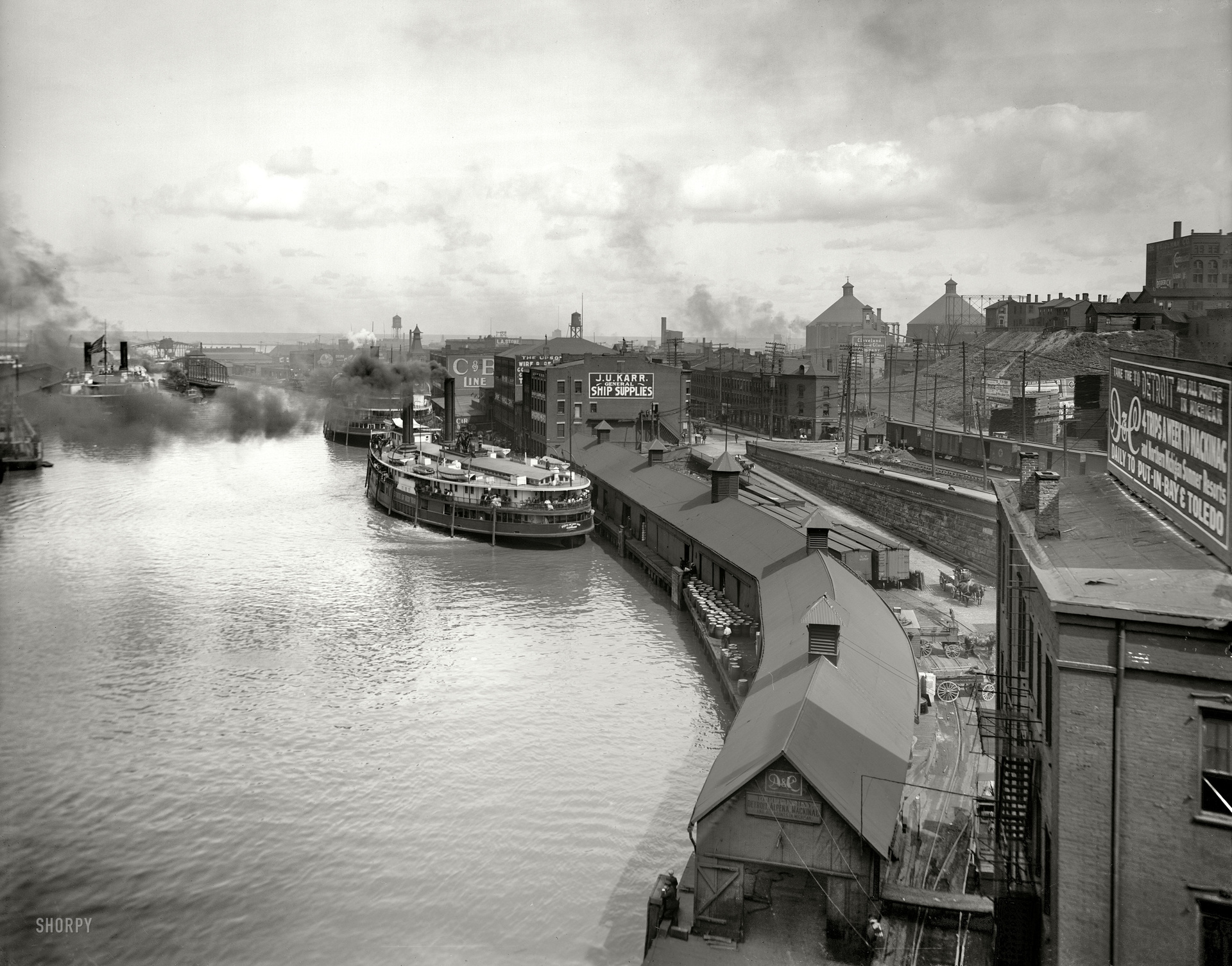 SHORPY_4a17722a.jpg
