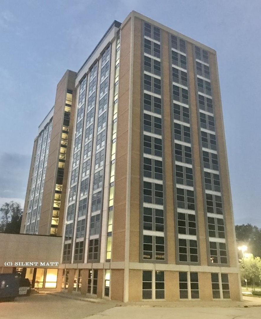 night leebrick.jpg