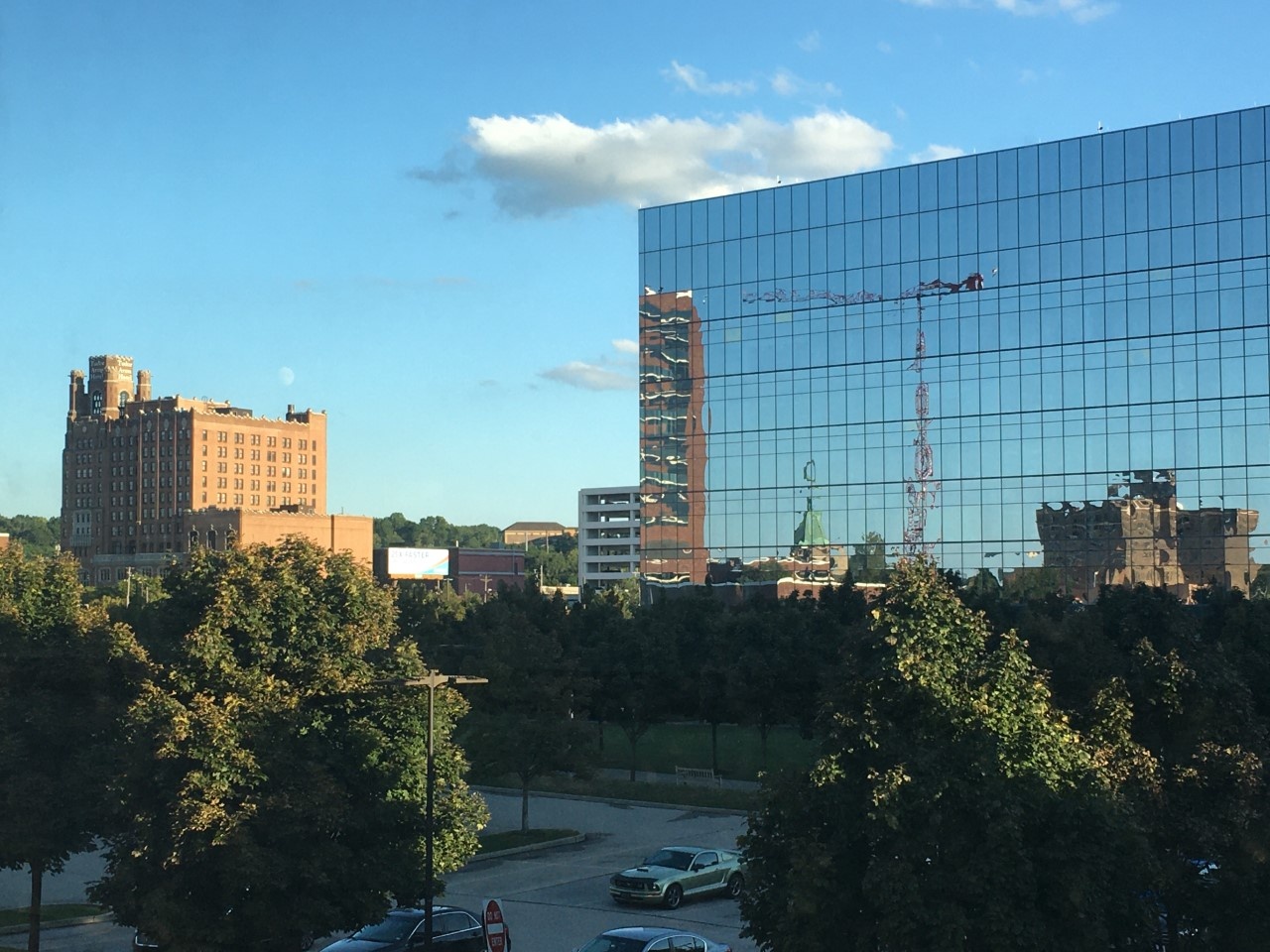 1034897538_cranereflection916.jpg.c2739d34c5031d6af2c8ce5461a821f9.jpg