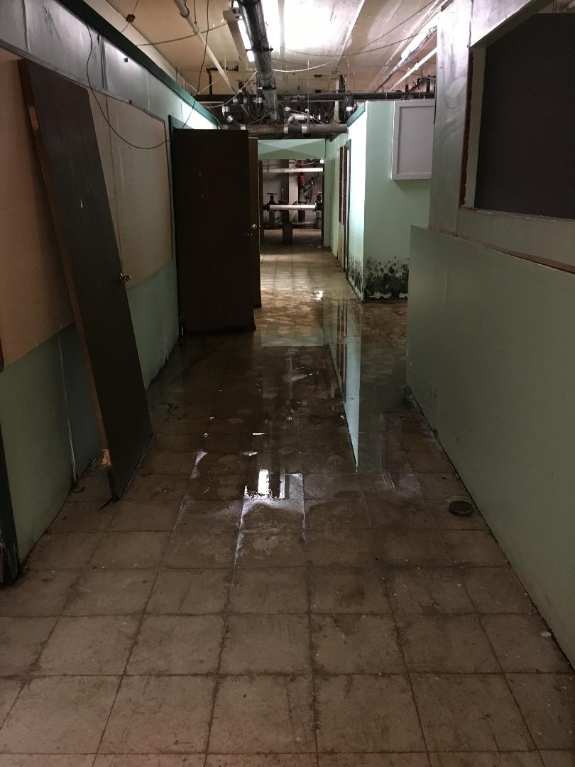 basement.jpg.249f8f668325807ebcbaef57be53bb14.jpg
