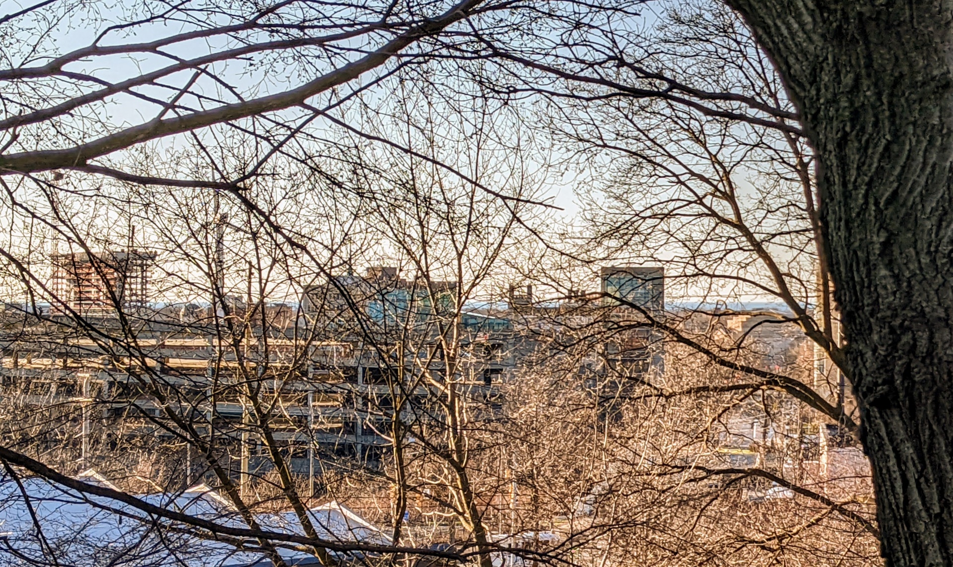 529091976_CLE_3-20-22(20).thumb.jpg.89b00dec516d1b4b343564584565a456.jpg