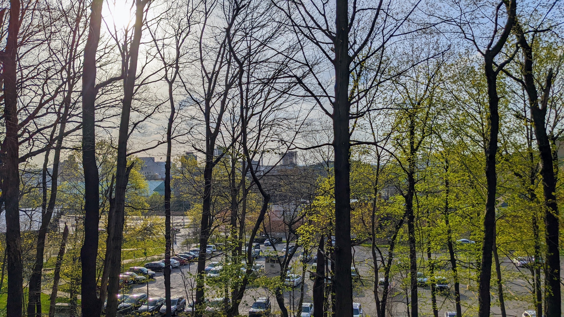 842748352_CLE_4-24-22(22).thumb.jpg.e8a587ec015b771434e508cbc3f310a9.jpg