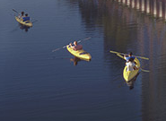 image.png.194289a8ae87e9d5fcde0107c6200e84.png