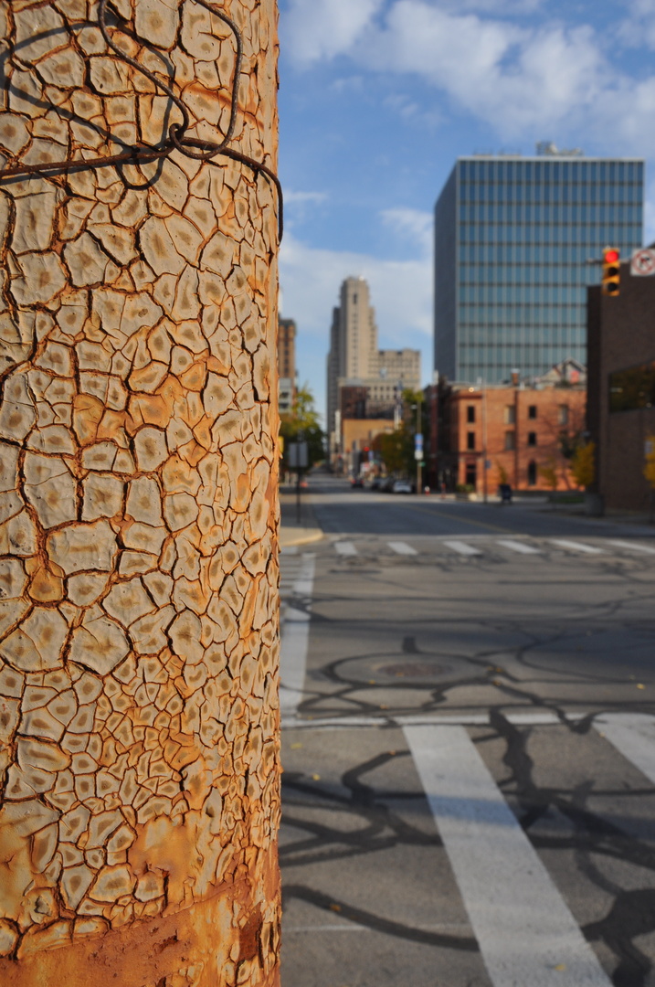 DSC_0853.thumb.JPG.e3f58a3f894e40b60d727612ee61a153.JPG