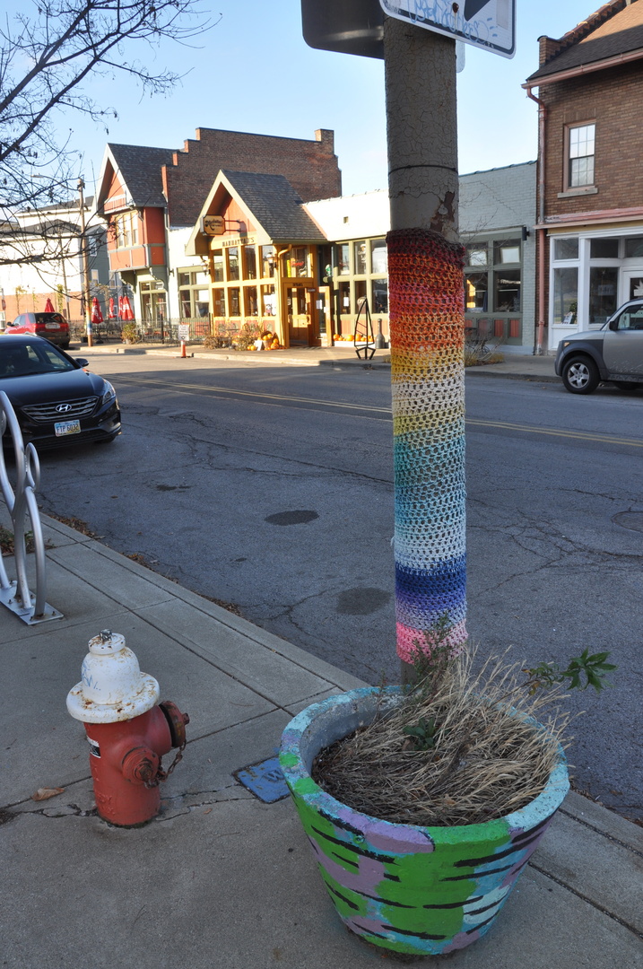 DSC_0914.thumb.JPG.f1ba7a03ae1a7610b2d38eaef77e5421.JPG