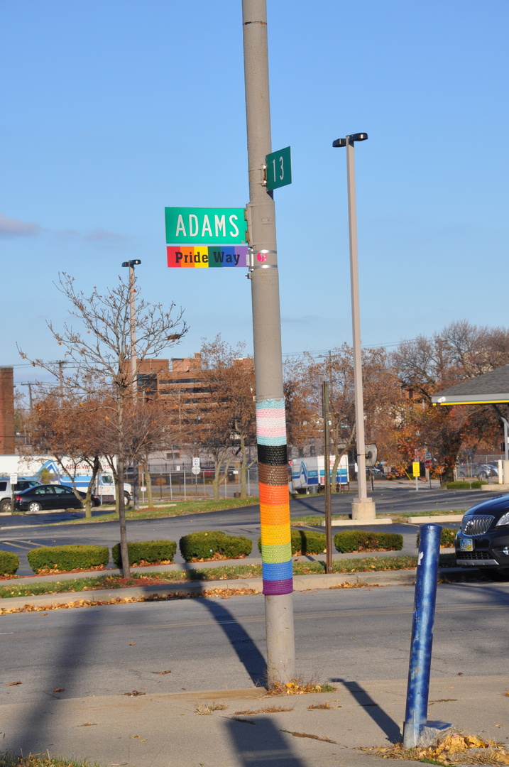 DSC_0924.JPG