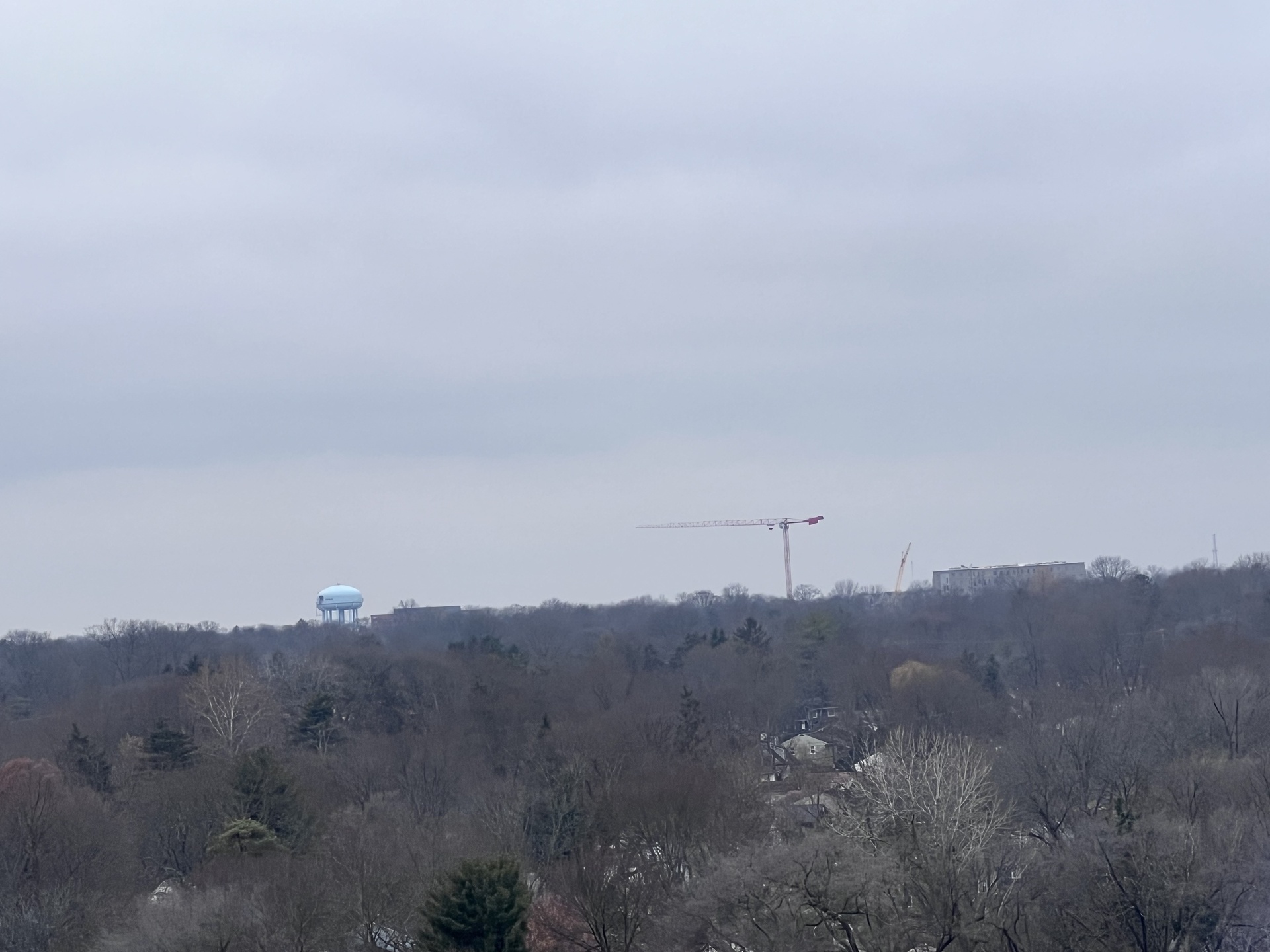 1B505E5D-7B42-40A0-B2E3-CA704C63C043.thumb.jpeg.57e52462d4b2534b29dfbc6abe1ce6ce.jpeg