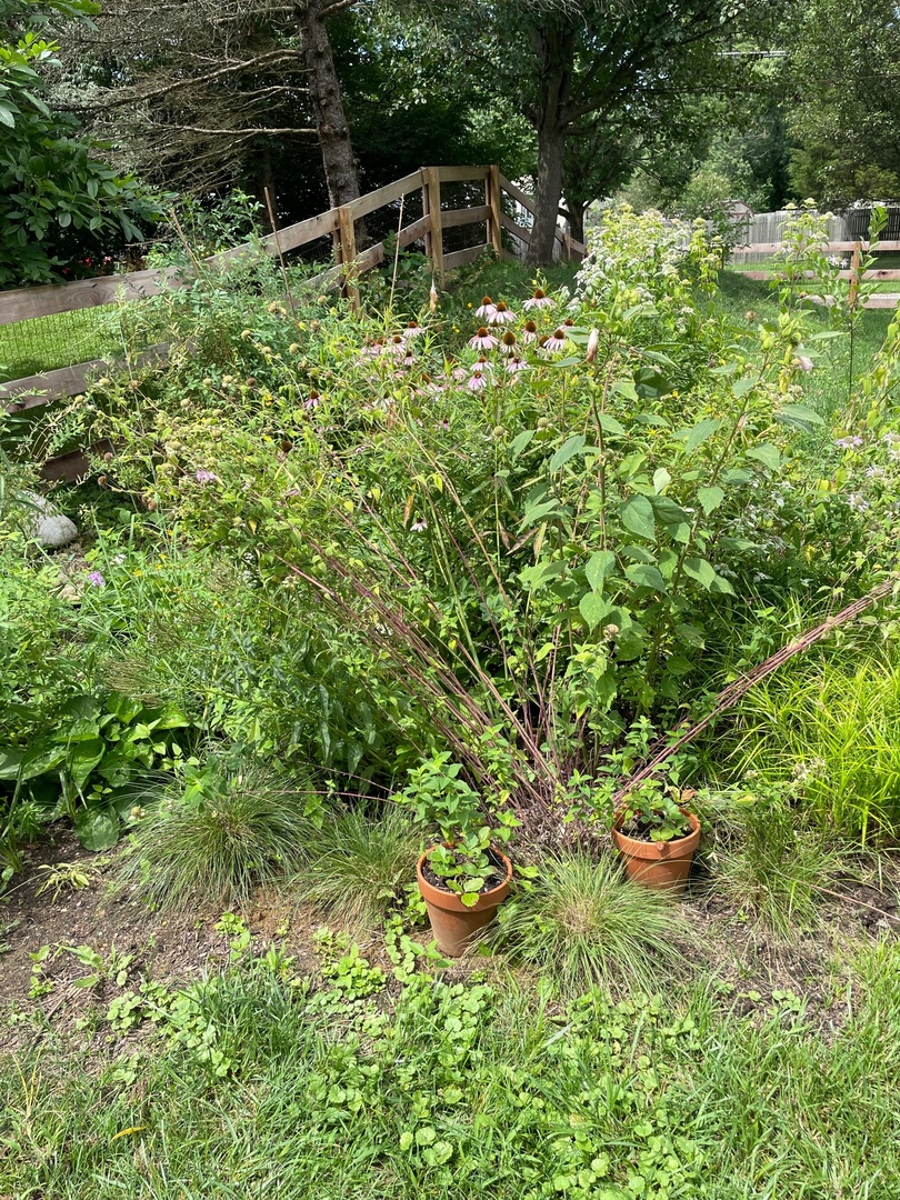 Fence - Praire Garden - Rain Garden.jpg