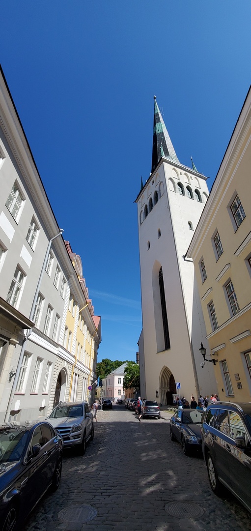 20230611_050446.jpg