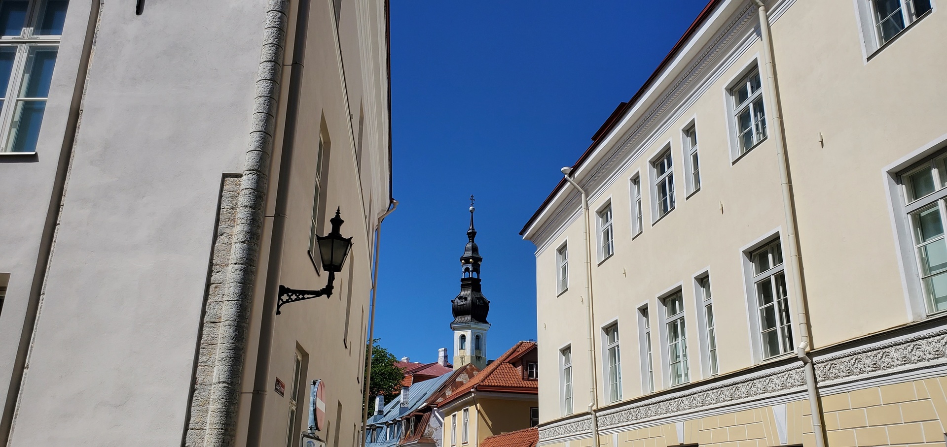 20230611_055324.jpg