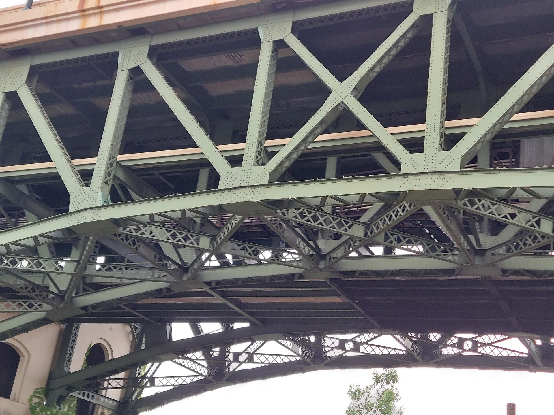 20230627_104219.jpg