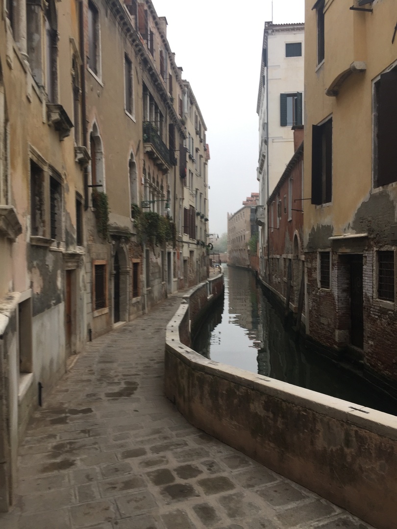IMG_8047.thumb.jpeg.965b73f3f7955d7c2b88926f4f44312c.jpeg