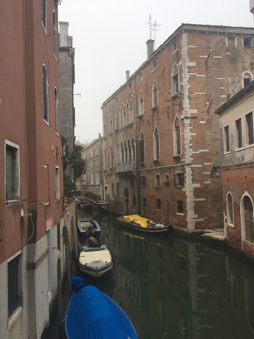 IMG_8050.thumb.jpeg.193c746127003122b94d562462aeb520.jpeg