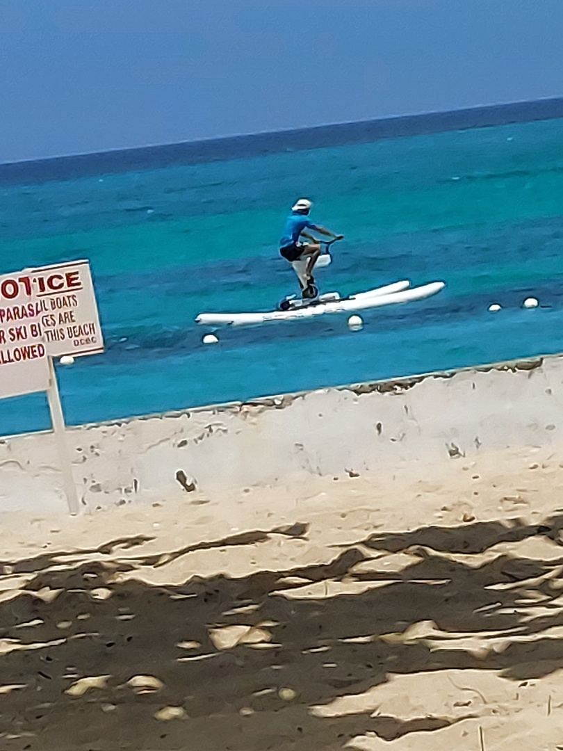 20230731_112924.thumb.jpg.83efeb85705d77c9cba16bd3e1169aec.jpg