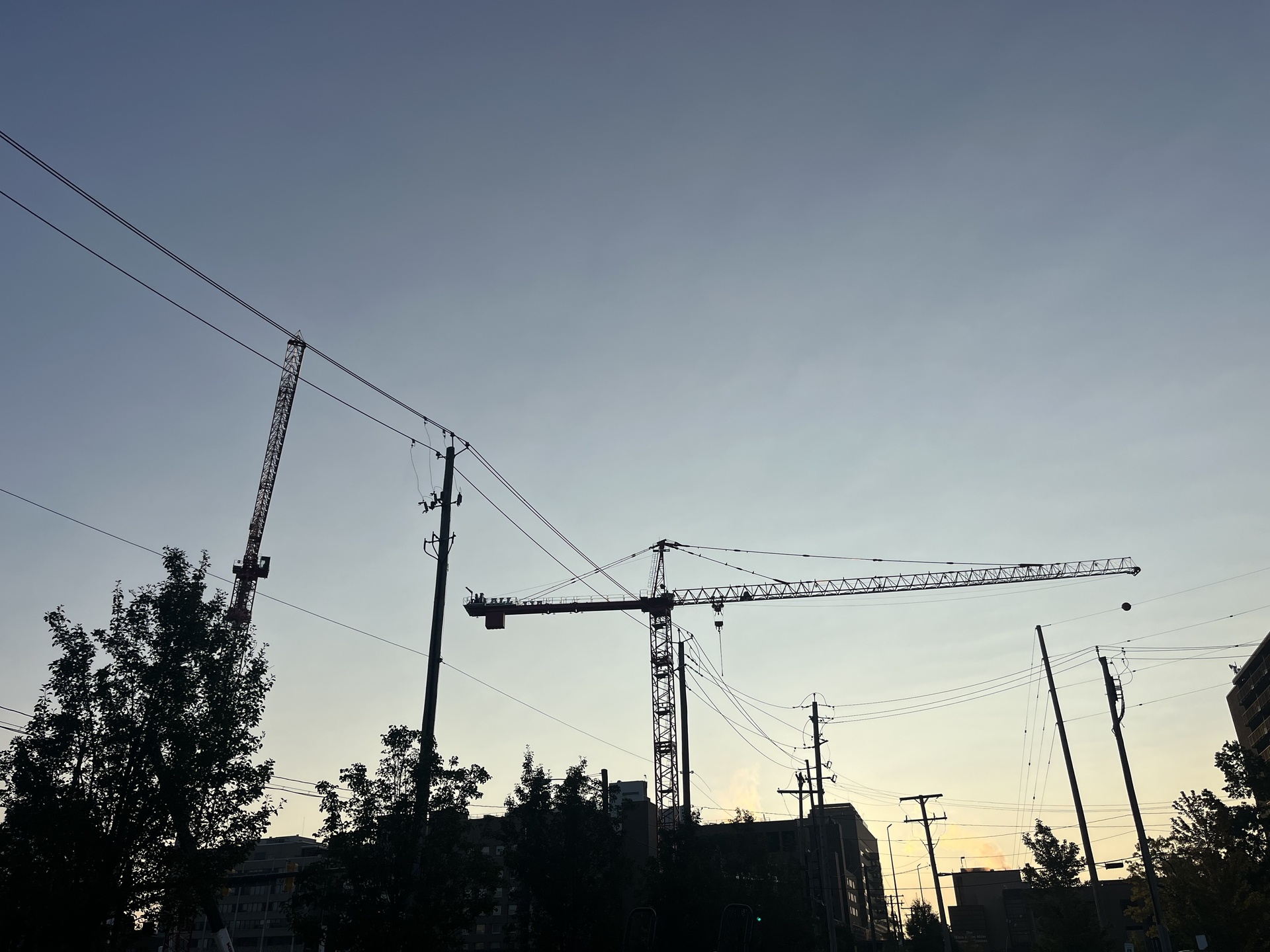 IMG_2507.jpeg