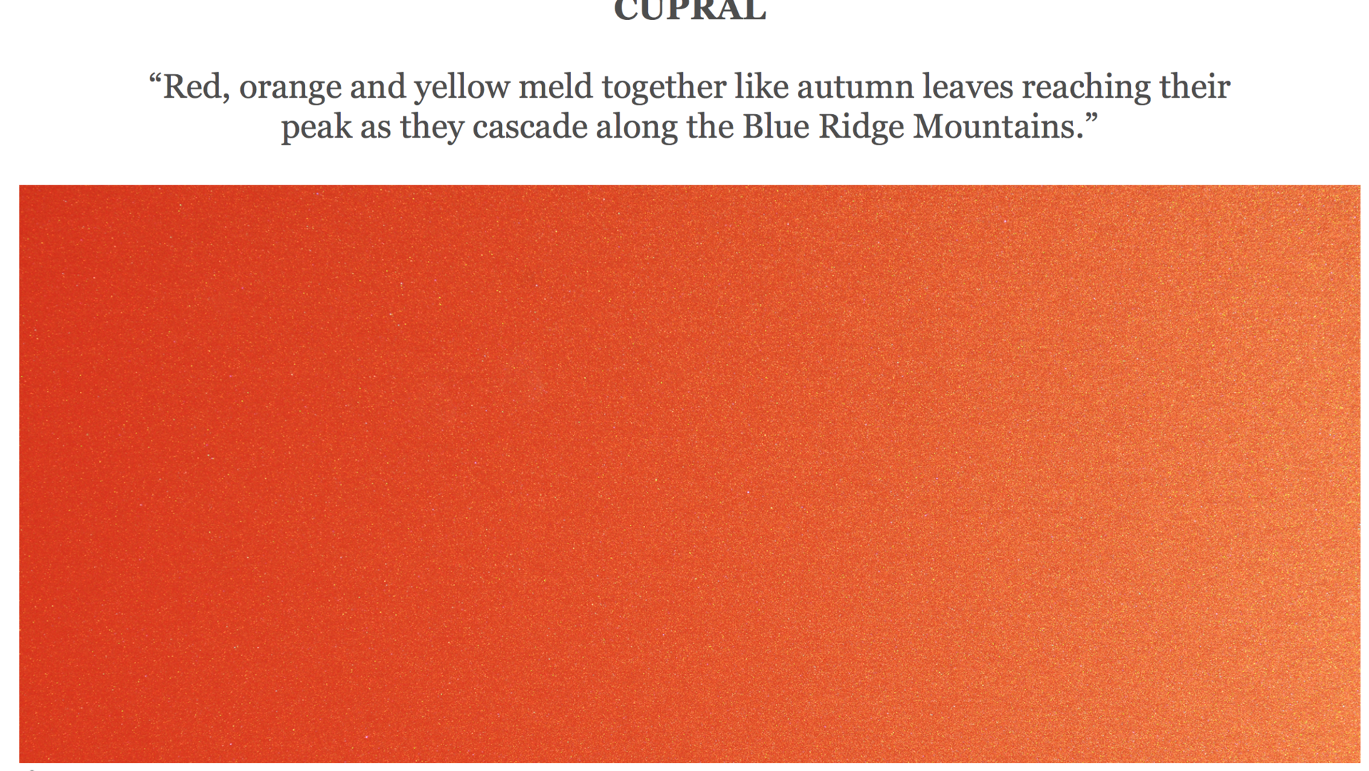 Screen Shot 2023-10-13 at 8.04.02 AM.png