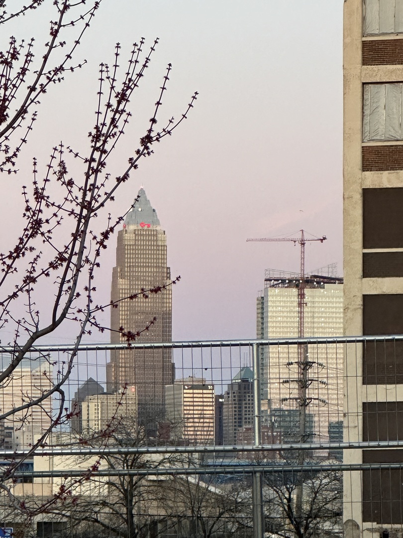 IMG_2729.jpeg