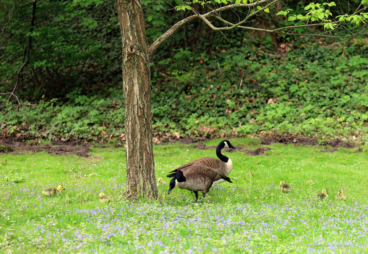 lakeviewcemetery05052024_4.jpg